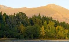 铁四院总监理工程师年薪有30万吗?