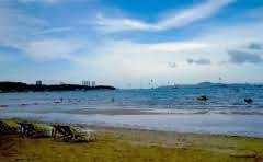 地溜子6月中旬可以种植吗