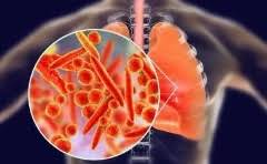 定时投放垃圾合理吗?