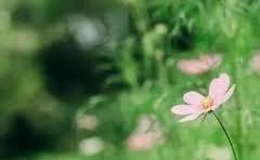 微信是线上还是线下收款?