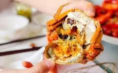 行车记录仪可以看多久?