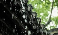 拼多多店铺三级限制什么意思?