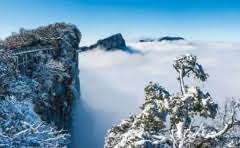 魔芋丝热水烫多久?