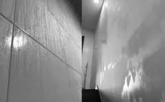 六盘山属于哪个省海拔多少?