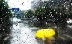 纽约在地球的哪个半球?